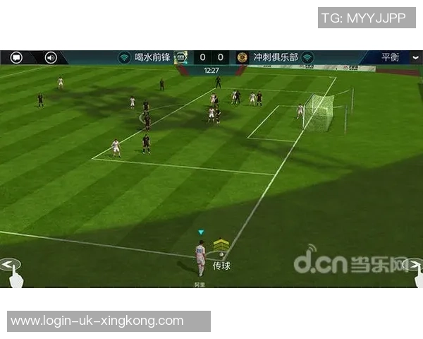 最全面的足球解析与发展趋势探讨让我们一起领略足球的魅力与未来